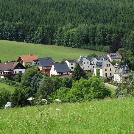 Ferienwohnung "Am Vaterlandsgrubenweg" Oelsnitz  외부 사진